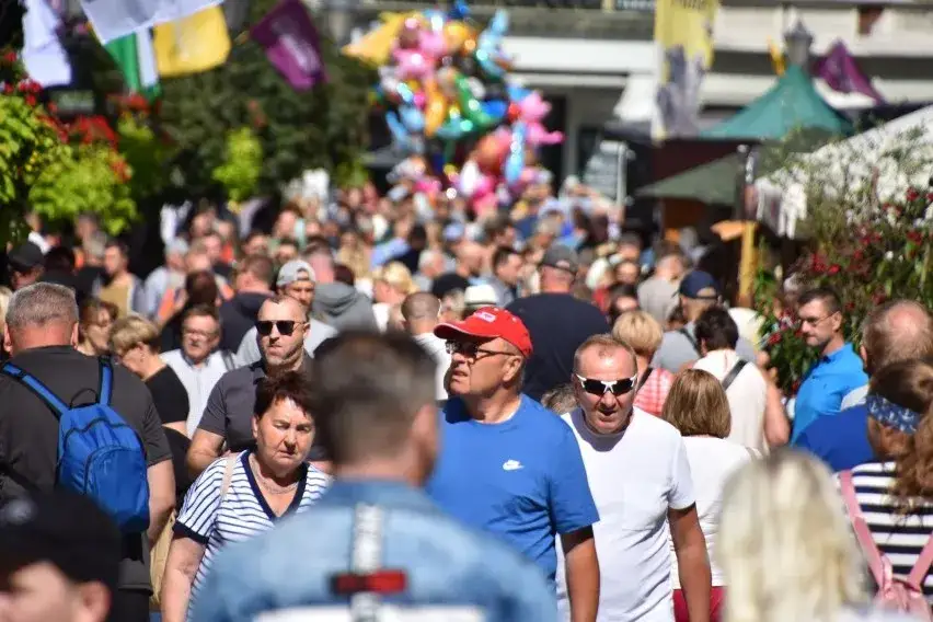 Zdjęcie Kiedy winobranie w Zielonej G&oacute;rze? Poznaj daty i atrakcje festiwalu