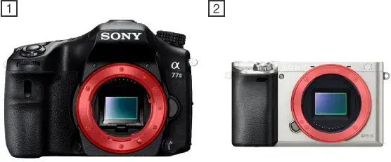 Zdjęcie Czy obiektywy Minolty pasują do Sony? Sprawdź, co musisz wiedzieć
