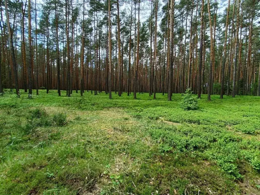 Zdjęcie Rezerwat przyrody Herby: Odkryj unikalną florę i faunę tego miejsca