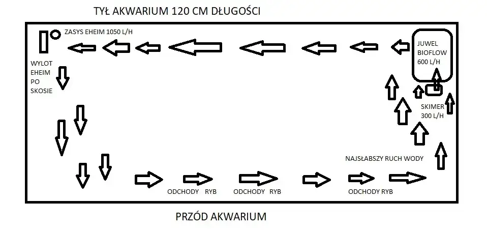 Zdjęcie Jak ustawić wlot i wylot filtra w akwarium, by uniknąć problemów z cyrkulacją
