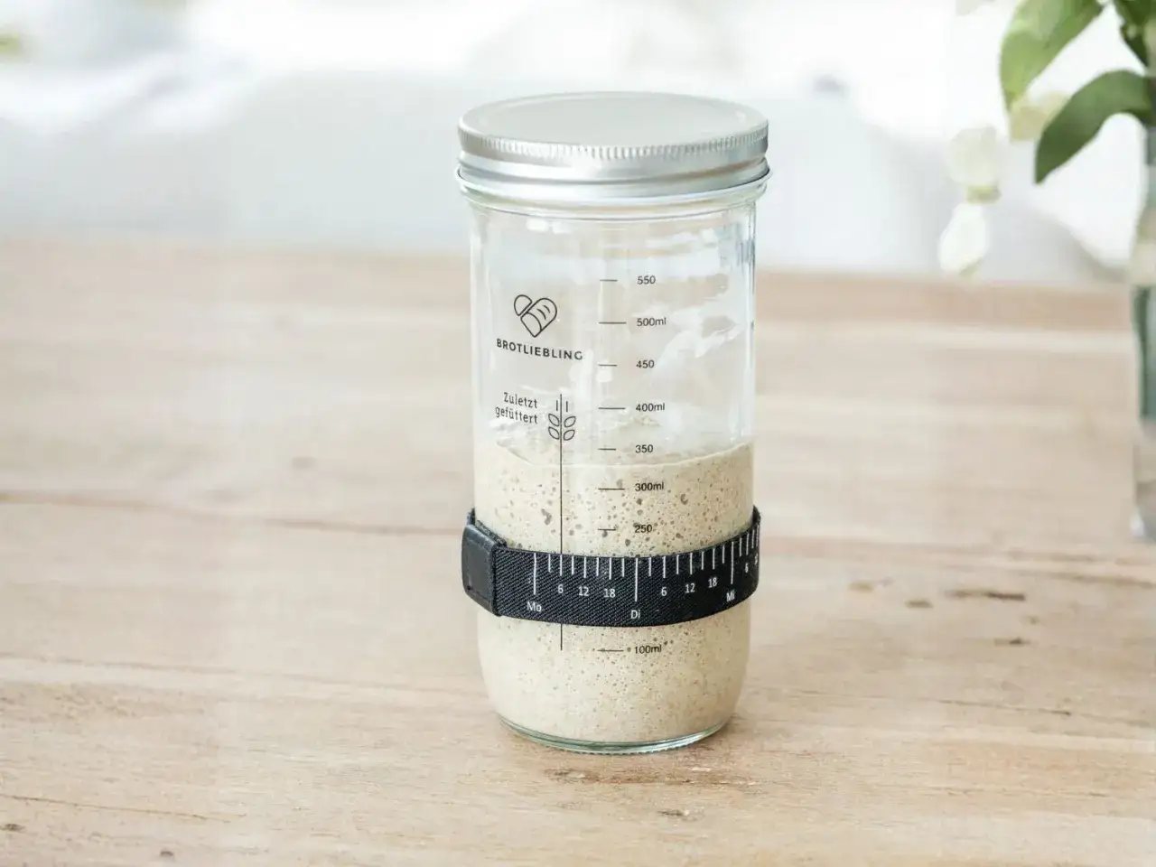 Ein Glas mit Sauerteig, das leicht nach Essig riecht. Der Glasrand ist mit einer Markierung versehen, die den Fütterungszeitpunkt anzeigt.
