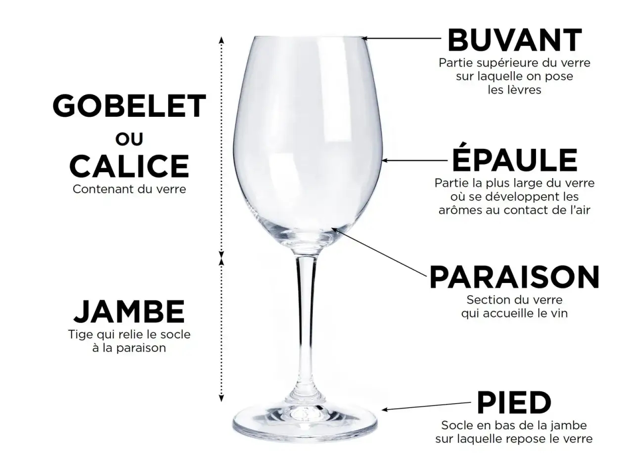 Un verre à pied, aussi appelé calice, est illustré avec ses différentes parties : le buvant, l'épaule, la paraison, la jambe et le pied.