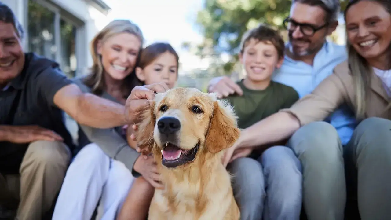 Una familia sonr&iacute;e mientras acaricia a su perro golden retriever, mostrando lo que son los perros: compa&ntilde;eros leales y alegres.