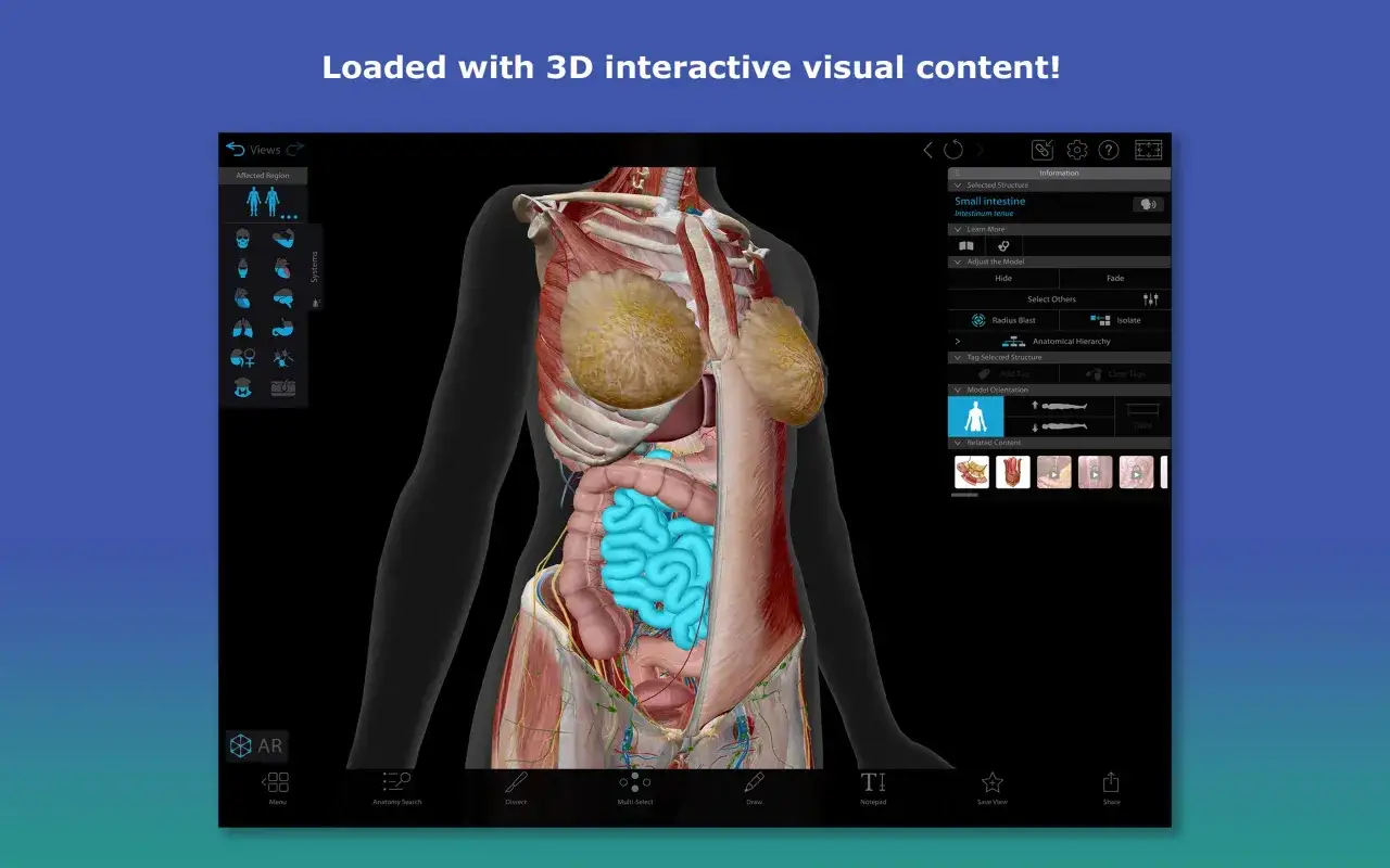 aplikacja anatomia 3D (np. Complete Anatomy)