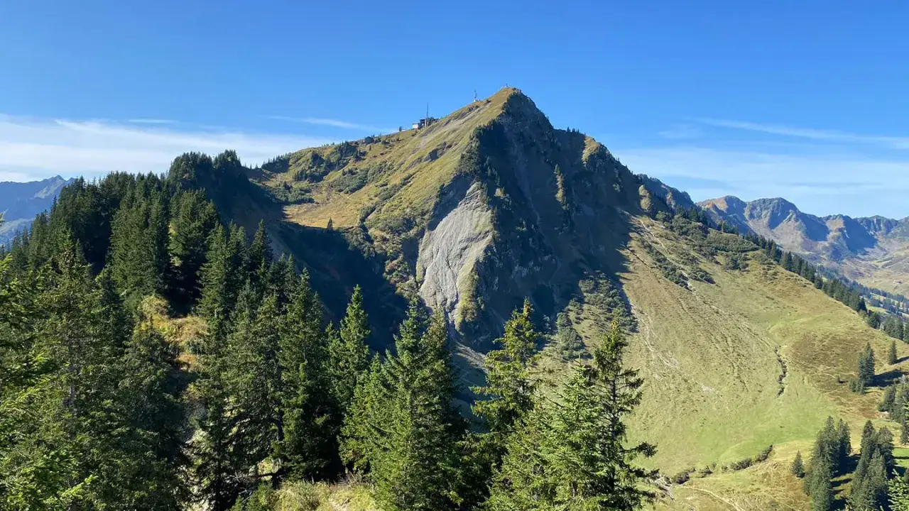 Sonnenbeschienener Gipfel des Walmendinger Horns mit Antennen und Geb&auml;uden. Gr&uuml;ne H&auml;nge und Nadelb&auml;ume im Vordergrund.