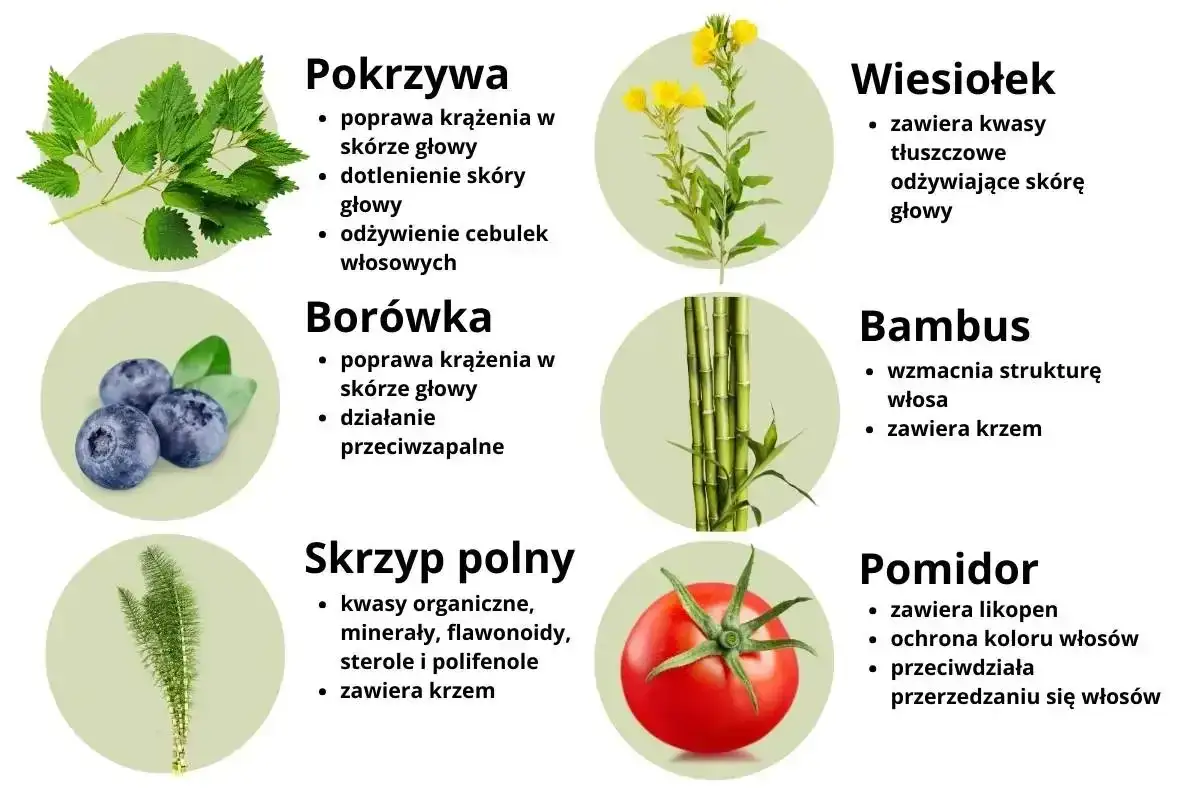 Porównanie suplementów na włosy