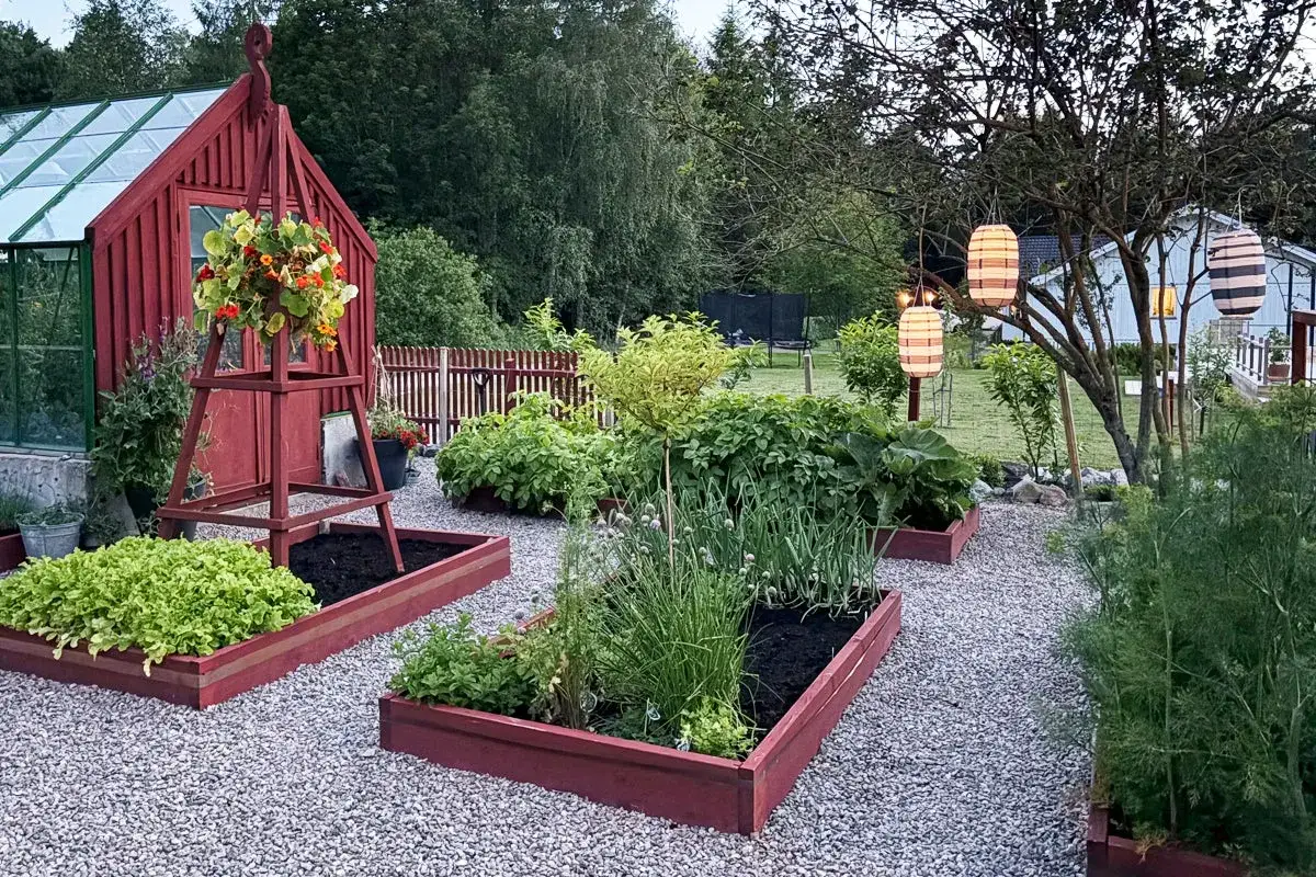 En vacker trädgård med röda pallkragar som inspirerar till odling. Grönsaker och blommor frodas i solnedgången.