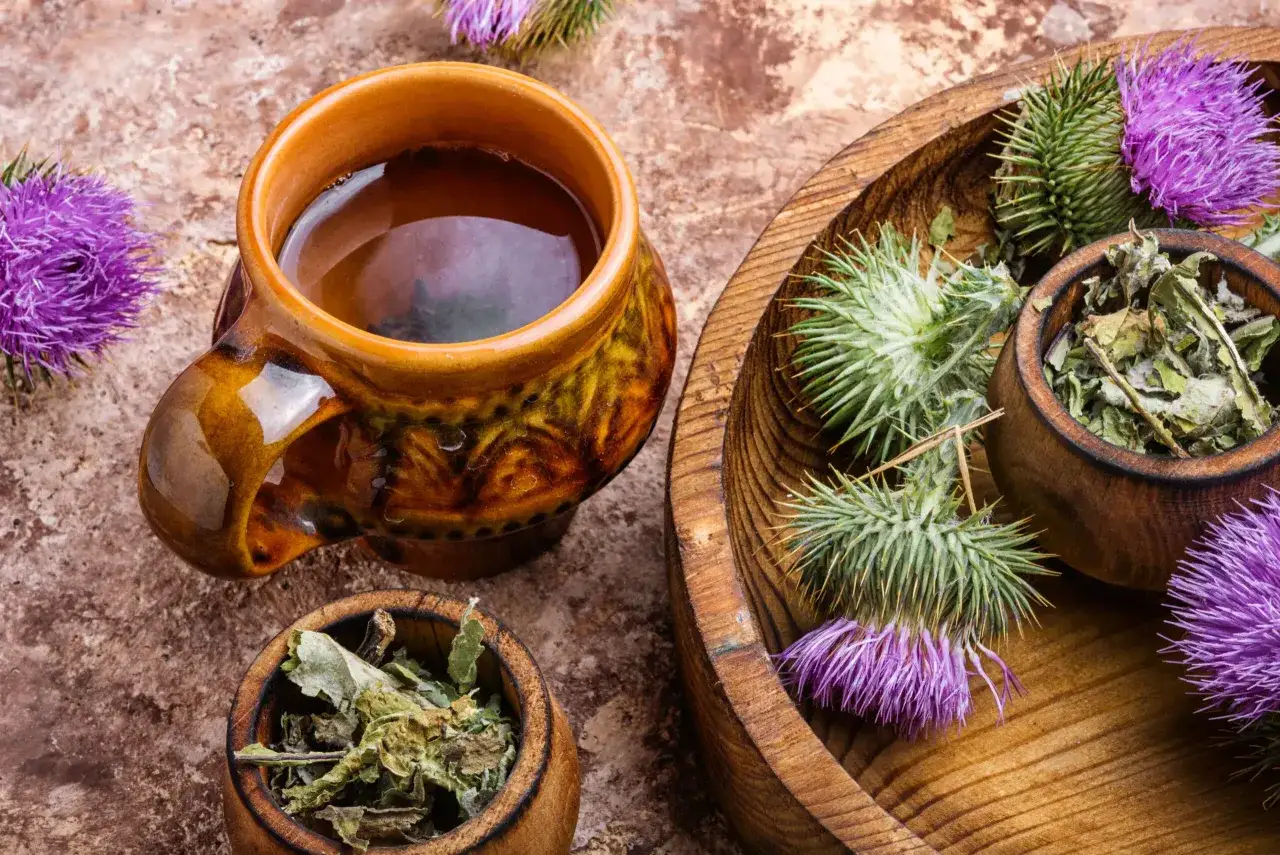 Une tasse de tisane chardon marie fumante, entourée de fleurs et de feuilles séchées de la plante.