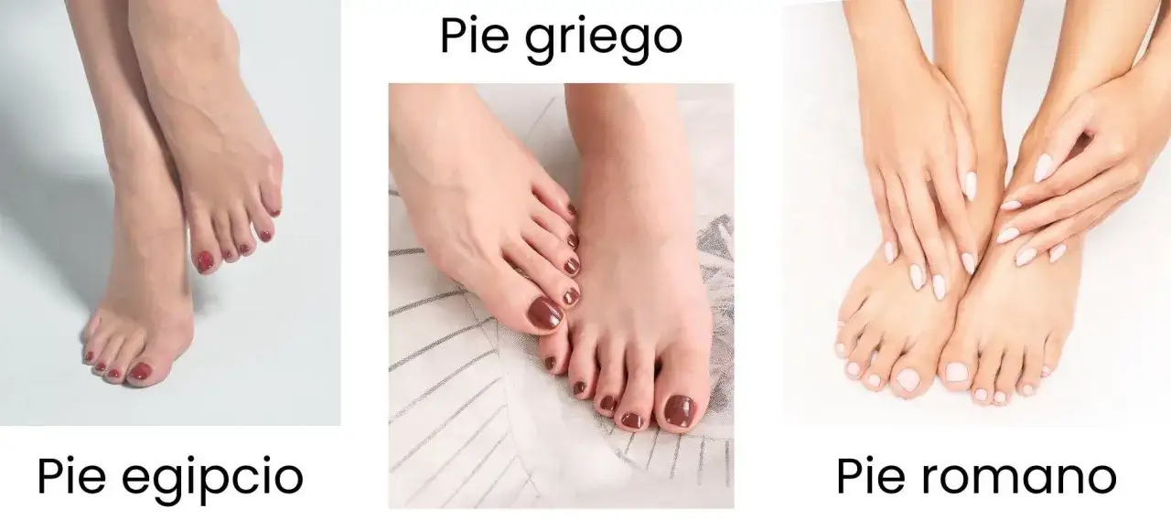 Pie egipcio mujer: el dedo gordo es el m&aacute;s largo, seguido por los dem&aacute;s en orden descendente.