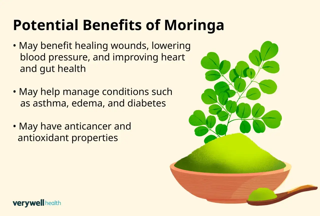 Herbata moringa: właściwości lecznicze. Wskazuje na korzyści zdrowotne, takie jak wsparcie gojenia ran, obniżenie ciśnienia krwi i poprawa zdrowia serca.