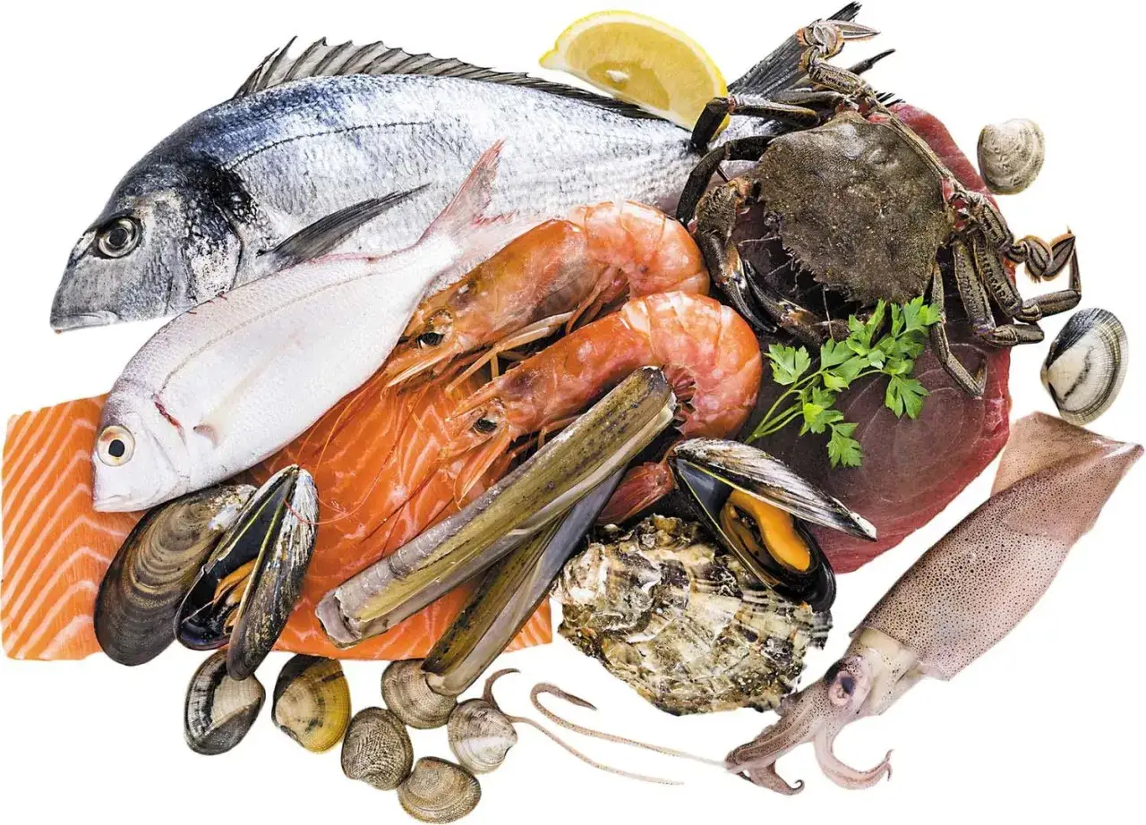 Vielfalt an Meeresfr&uuml;chten: Fisch, Garnelen, Krabbe, Muscheln, Austern, Tintenfisch und ein St&uuml;ck Thunfisch. Ein gesunder Genuss mit gutem Eisengehalt, besonders durch Fisch.