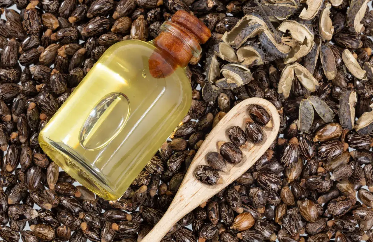 Flacon d'huile de ricin dor&eacute;e pos&eacute; sur des graines de ricin. Une cuill&egrave;re en bois contient aussi des graines, &eacute;voquant les nombreux bienfaits de l'huile de ricin.