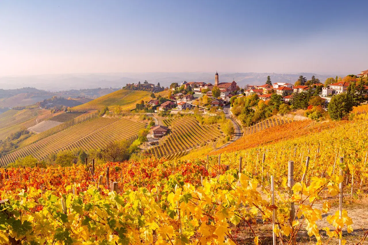 Paesaggio Langhe vigneti Alba