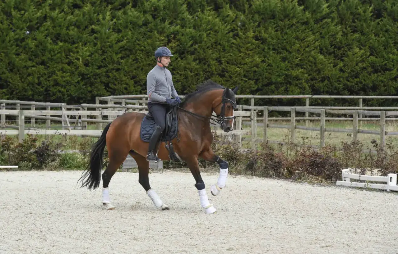 Cavalier en tenue de dressage, ex&eacute;cutant une serpentine avec son cheval bai dans une carri&egrave;re.