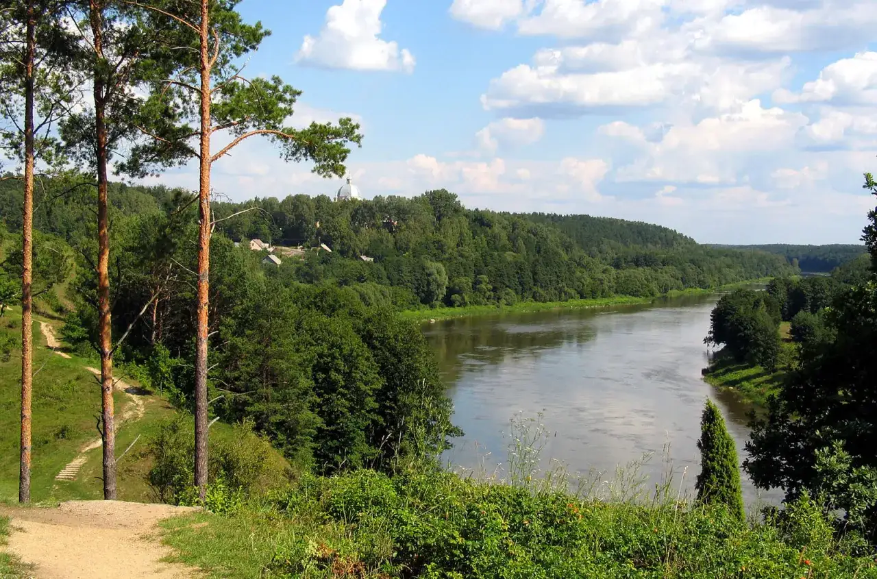 Malowniczy krajobraz z rzeką wijącą się przez zielone wzgórza, przypominający rozległą **nizinę zatokową**. Na pierwszym planie sosny, w oddali widać zabudowania i kopułę kościoła.
