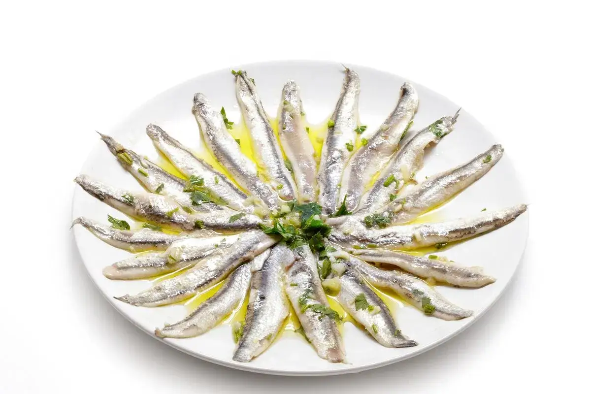 Acciughe al verde disposte a raggiera su un piatto bianco, condite con olio, aglio e prezzemolo.