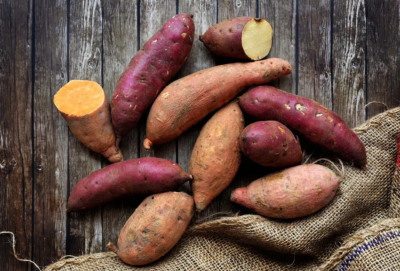 Ein Haufen tropischer Süßkartoffeln, einige mit violetter Schale, andere orangefarben, liegen auf einem rustikalen Holztisch und einem Jutesack.