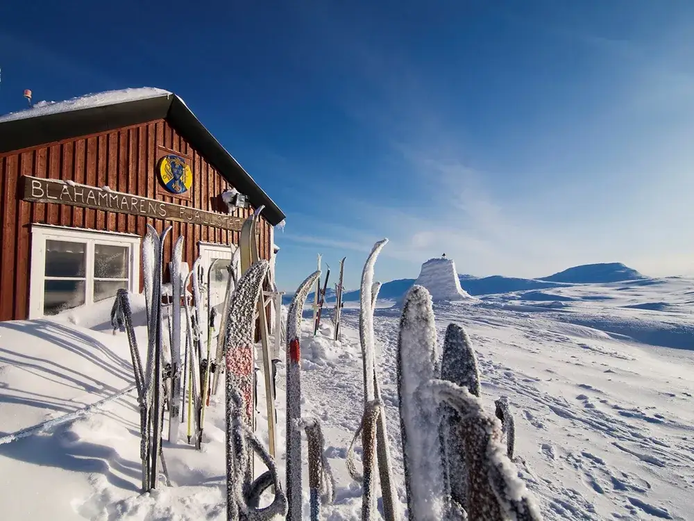 Skidor vid Bl&aring;hammarens fj&auml;llstation, redo f&ouml;r turer mot Storulv&aring;n. Sn&ouml;kl&auml;dda berg och klarbl&aring; himmel.