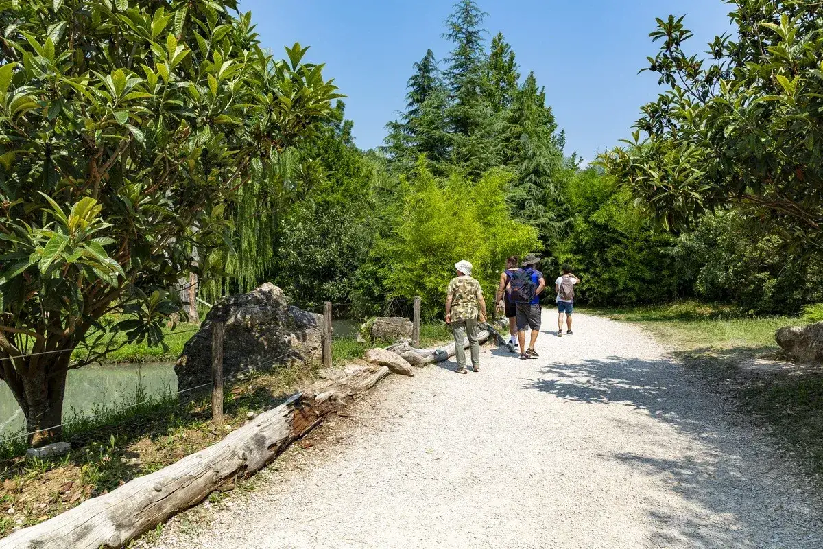 Passeggiata nel verde, tra alberi e rocce, per scoprire cosa vedere a Bussolengo.