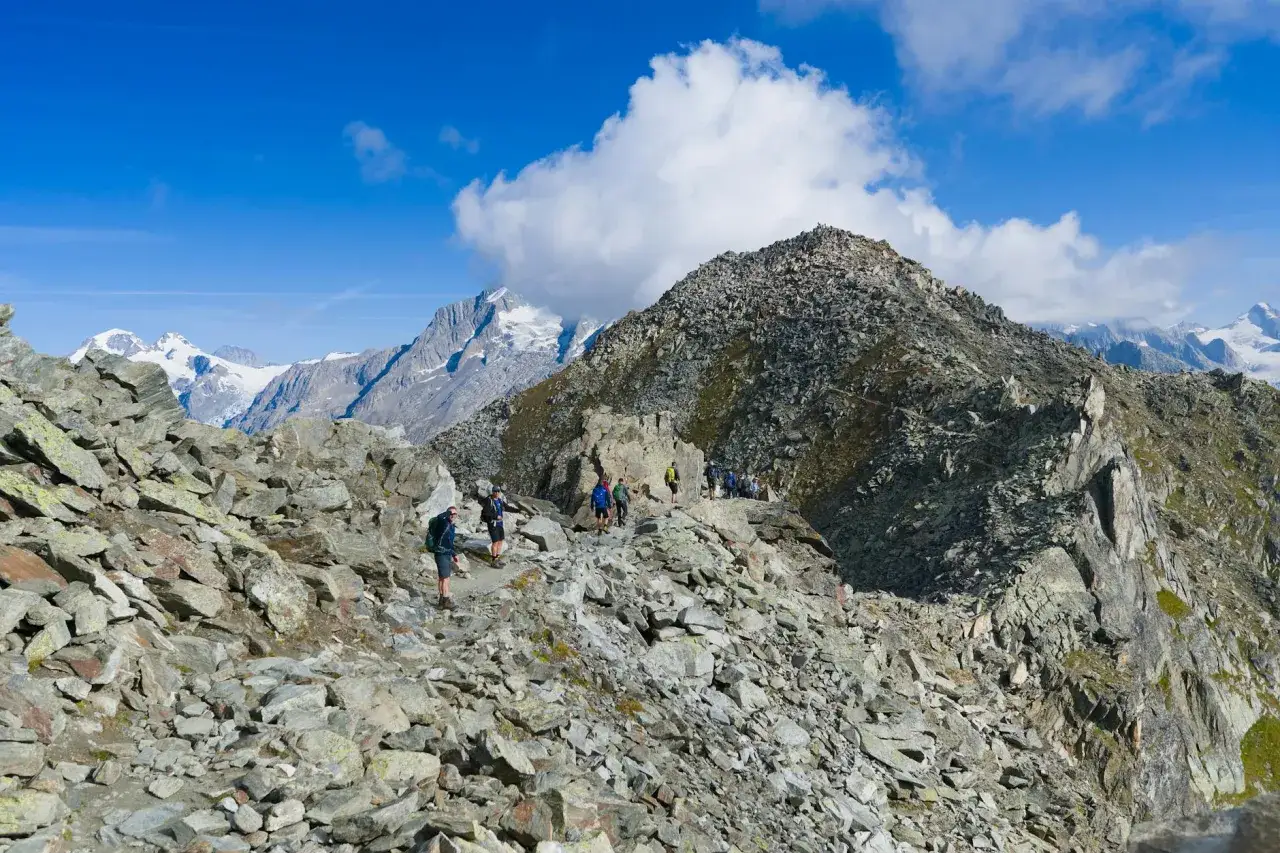 Grupa turystów wyruszyła na trekking w alpach. Kamienista ścieżka prowadzi przez skaliste zbocza ku ośnieżonym szczytom.