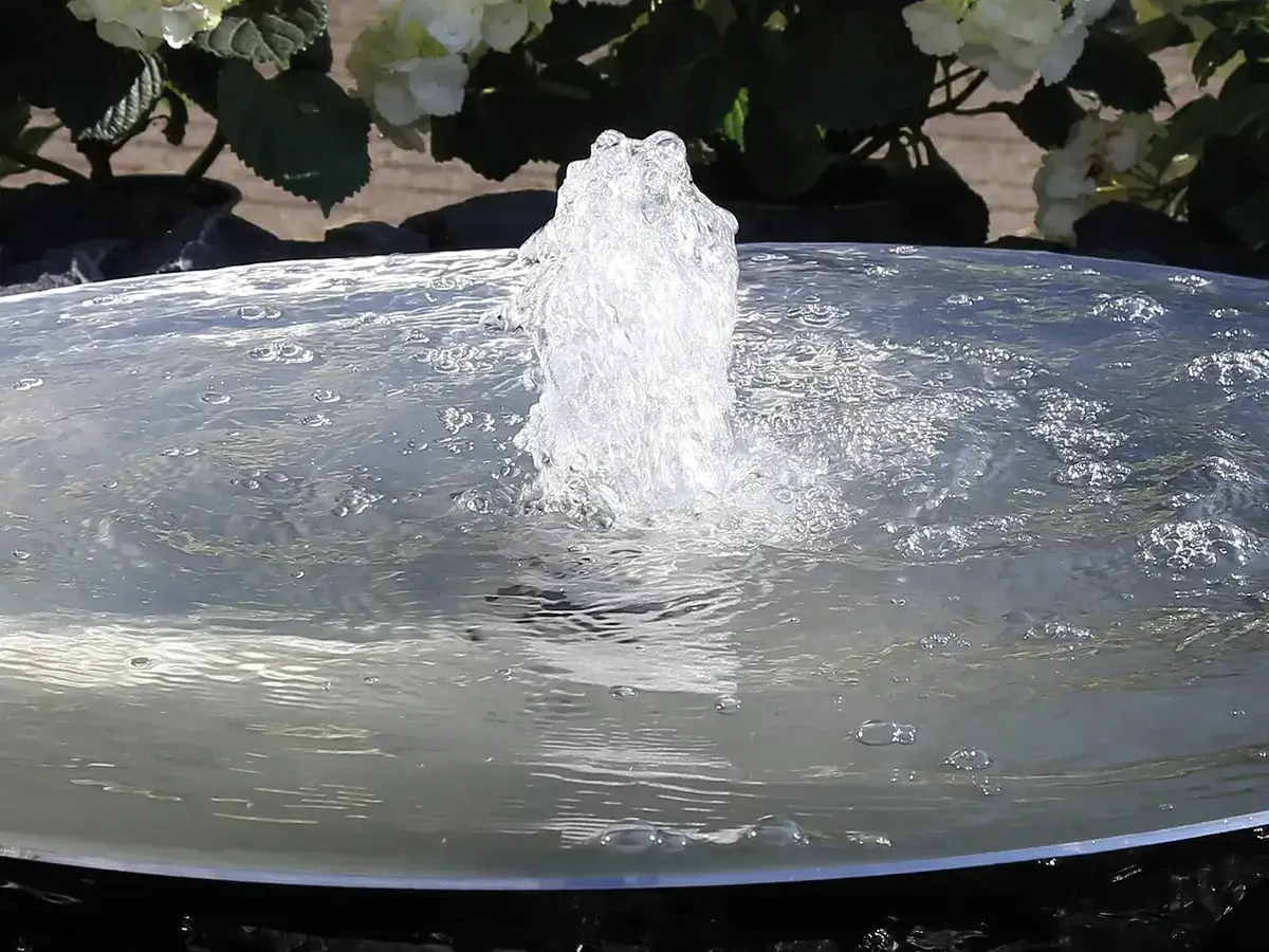 Moderne Gartenbrunnen-Ideen: Ein Wasserstrahl sprudelt aus einer flachen Schale, umgeben von Hortensien.