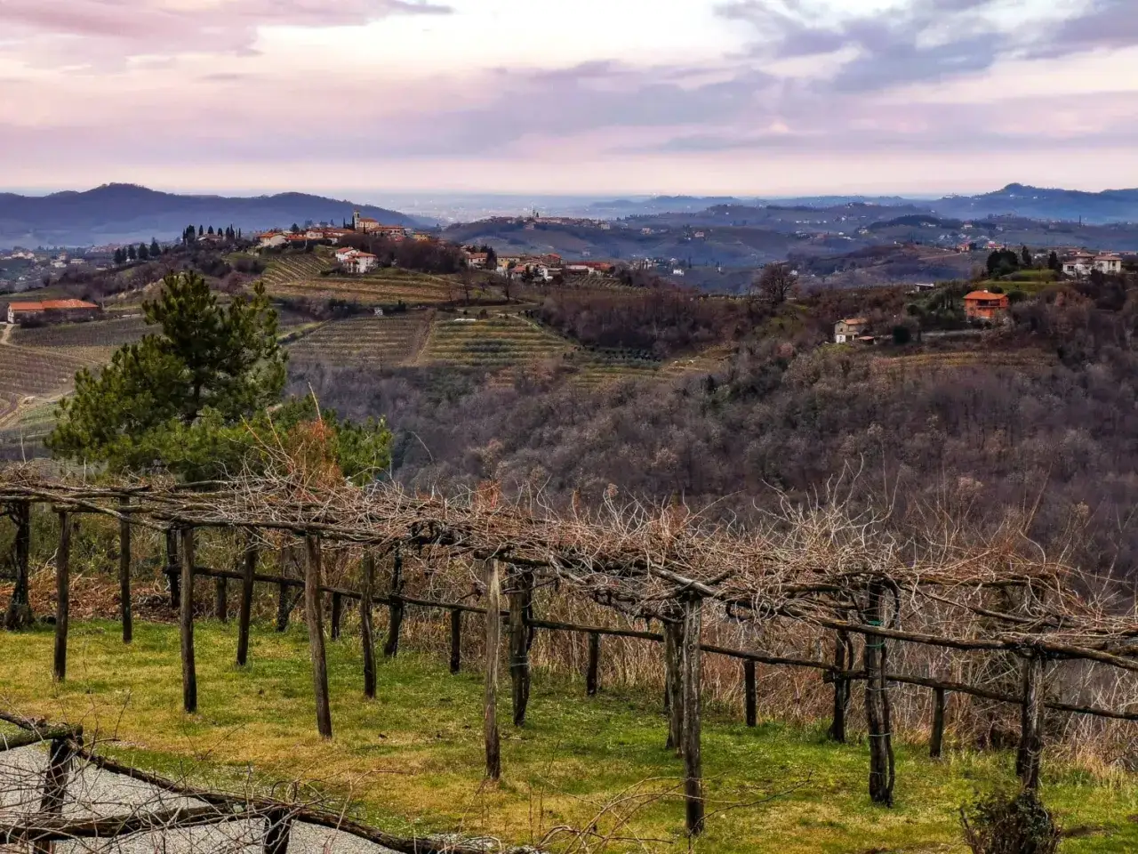 Colline ondulate del Collio friulano, con vigneti e borghi. Un pergolato di vite spoglio anticipa i futuri vini del Collio friulano.