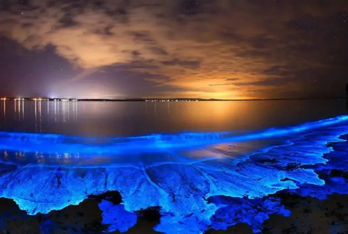 Nocne morze gwiazd na Malediwach, gdzie bioluminescencyjne plankton tworzy niebieską poświatę na falach i piasku.