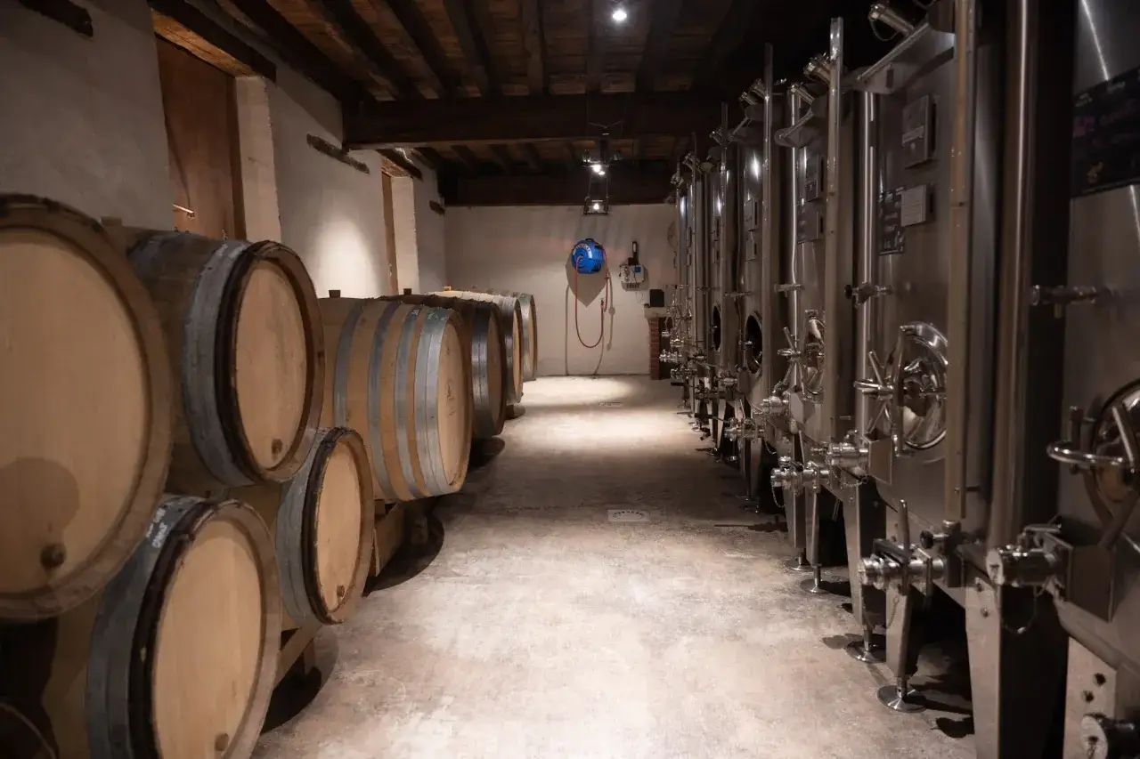 Cave &agrave; vin avec des tonneaux en bois et des cuves en inox, t&eacute;moins de la cr&eacute;ation du champagne.