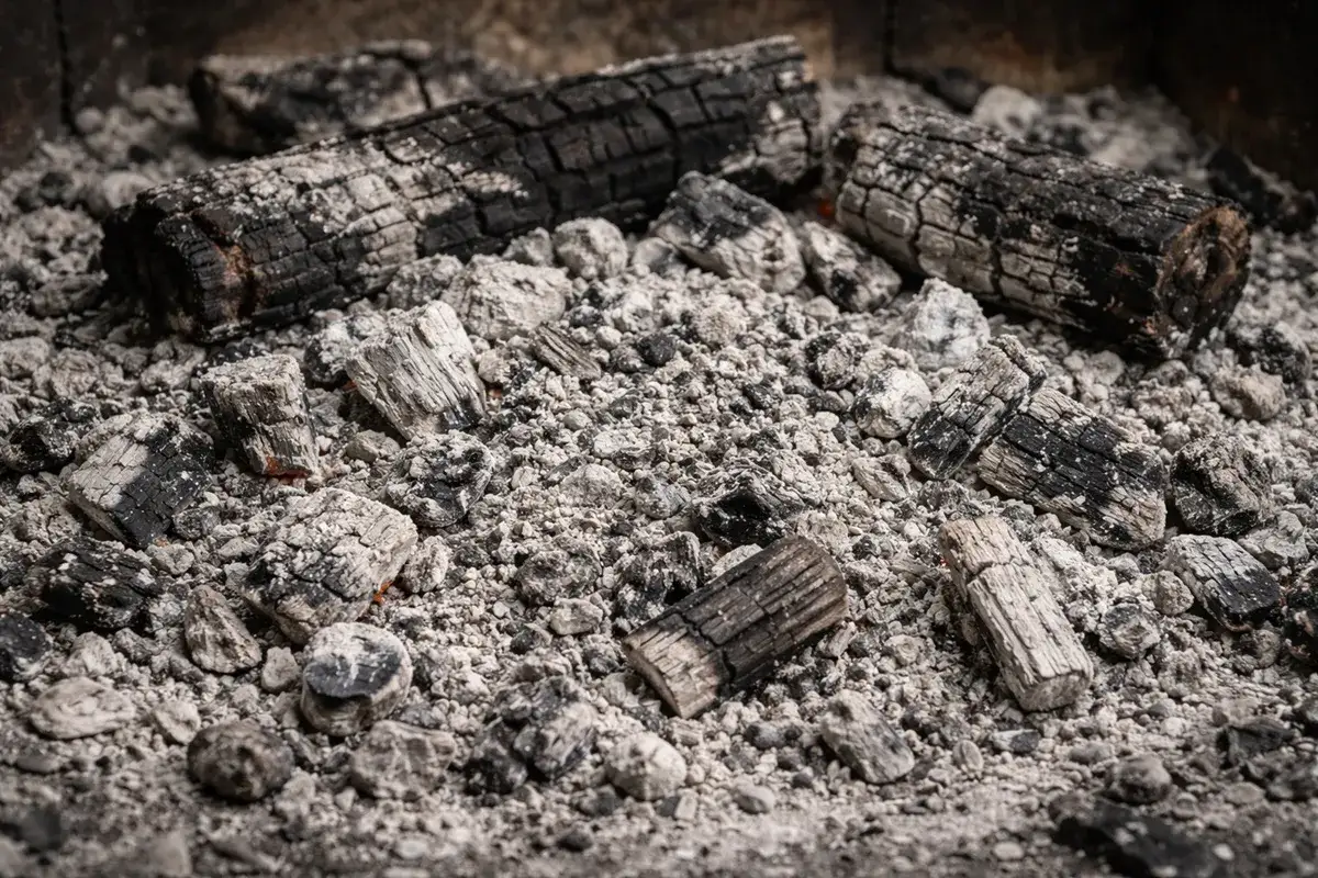 Cenere e tizzoni di legna, residui di un fuoco. La cenere del pellet, una volta raffreddata, può essere riutilizzata come fertilizzante.