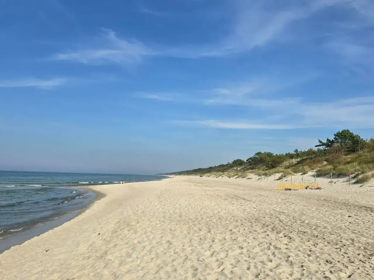 Szeroka, piaszczysta plaża nad Bałtykiem, z łagodnymi falami i wydmami porośniętymi trawą. W oddali widać las. To idealne miejsce na wypoczynek nad zalewem kamieńskim.