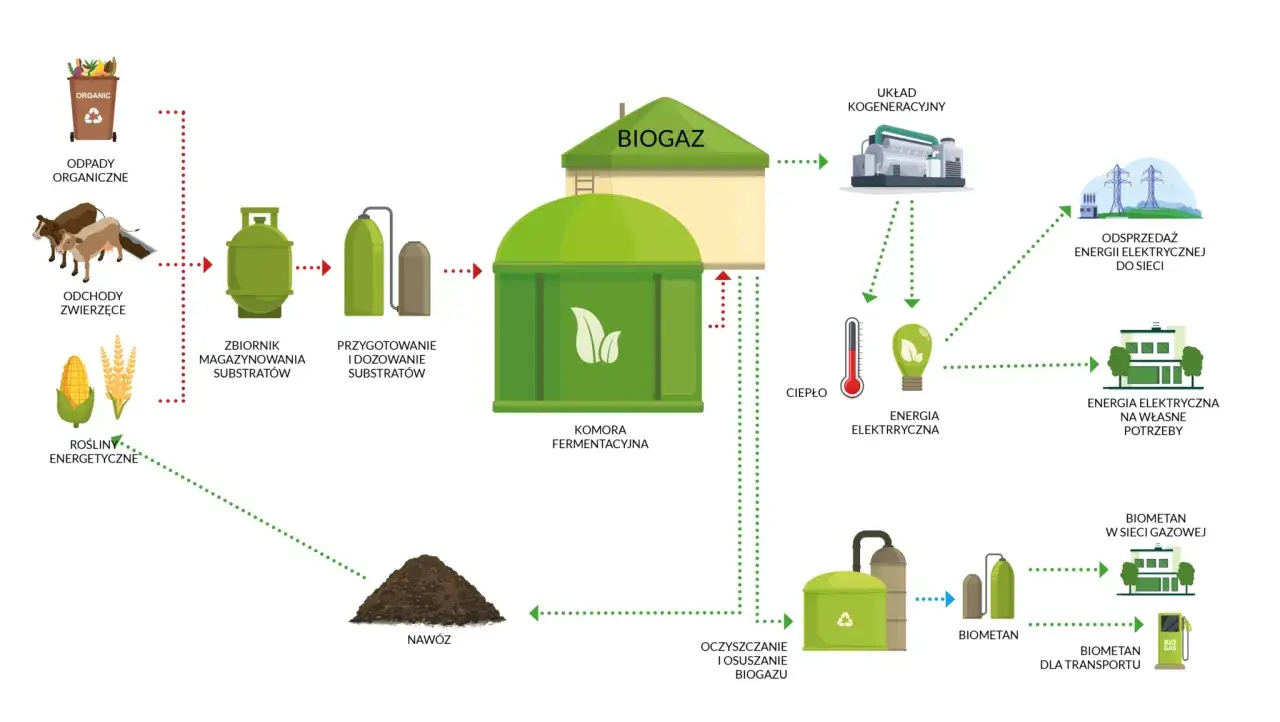 Schemat elektrowni biomasowej: odpady organiczne, odchody zwierzęce i rośliny energetyczne przetwarzane są na biogaz, który następnie służy do produkcji energii elektrycznej i cieplnej.