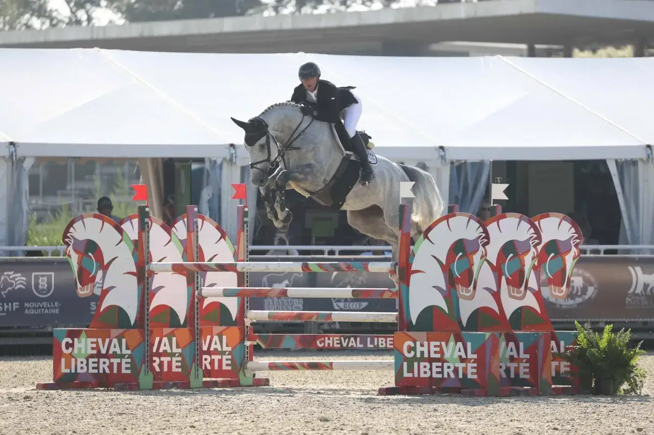 Un cavalier et son cheval gris sautent un obstacle d&eacute;cor&eacute; de t&ecirc;tes de chevaux stylis&eacute;es. L'&eacute;v&eacute;nement c&eacute;l&egrave;bre les jeunes chevaux.