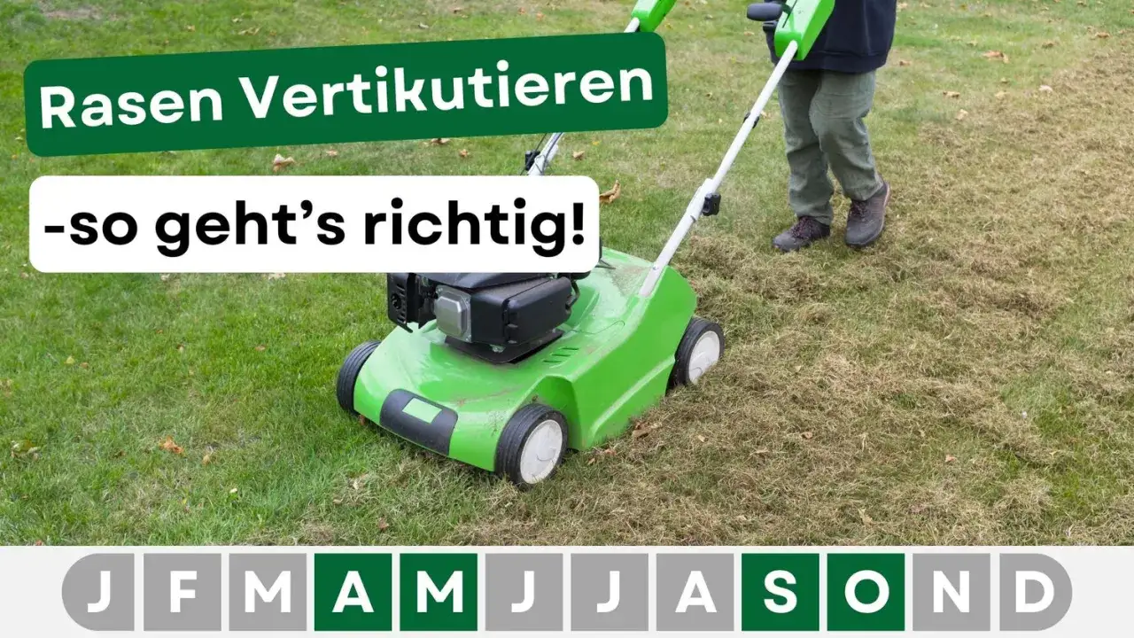 Gr&uuml;ner Vertikutierer im Einsatz. Erfahren Sie, wie tief Sie vertikutieren sollten, um Ihren Rasen optimal zu pflegen.