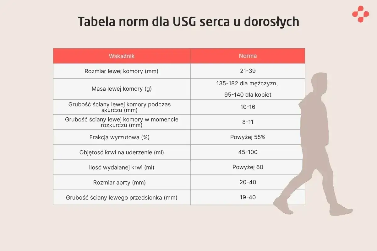 Tabela norm USG serca: frakcja wyrzutowa powyżej 55%, objętość krwi na uderzenie 45-100 ml.
