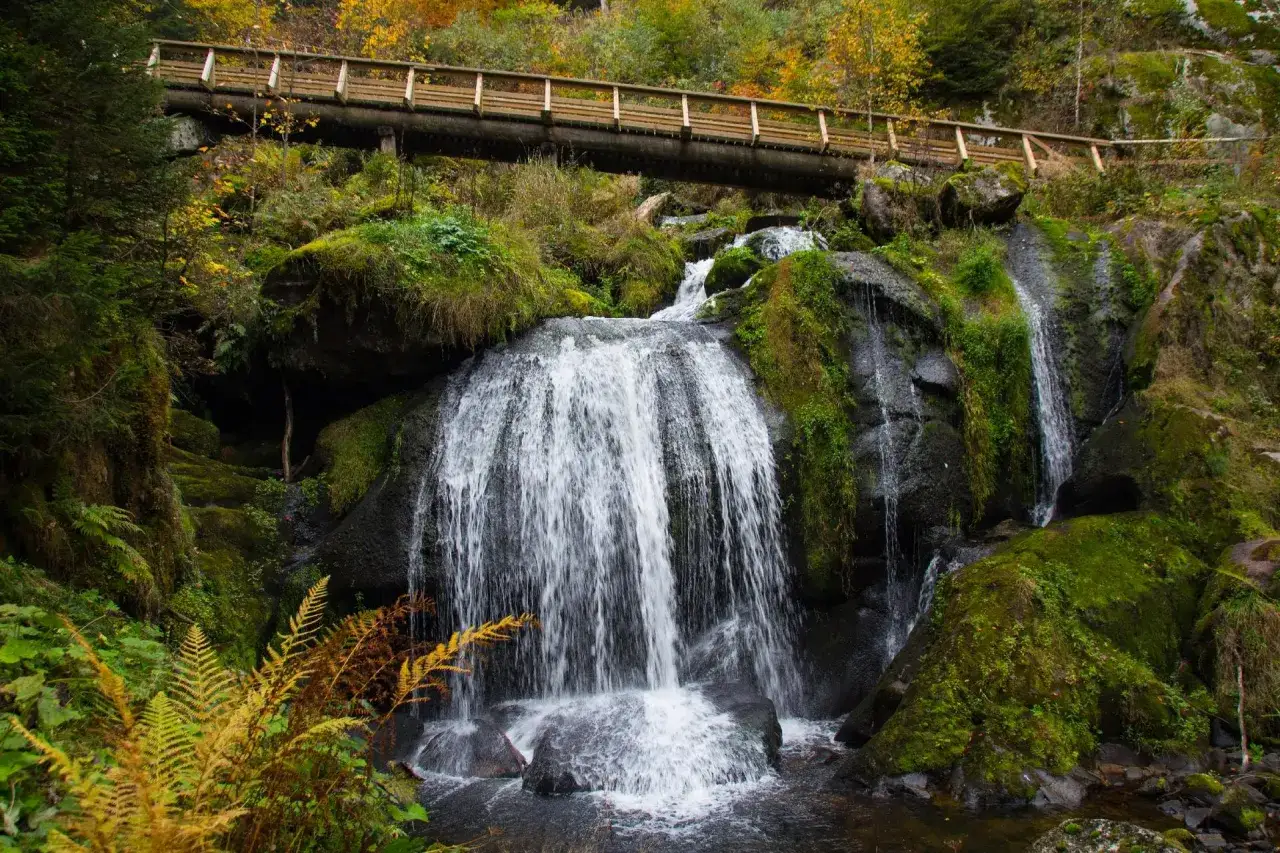 Ein Wasserfall st&uuml;rzt &uuml;ber moosbewachsene Felsen, &uuml;ber ihm eine Holzbr&uuml;cke. Ein versteckter Ort im Schwarzwald, der zum Entdecken einl&auml;dt.