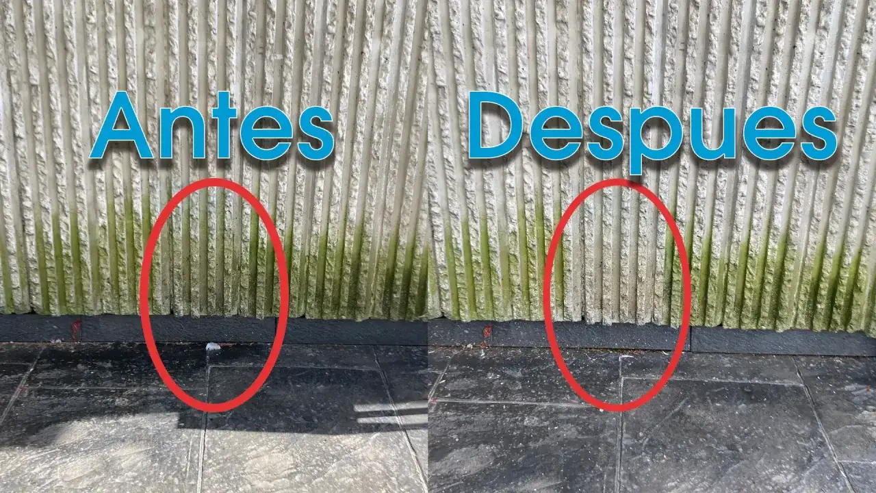 Comparaci&oacute;n de c&oacute;mo quitar verd&iacute;n del suelo. La imagen muestra un antes y despu&eacute;s de la limpieza de una pared con verd&iacute;n.