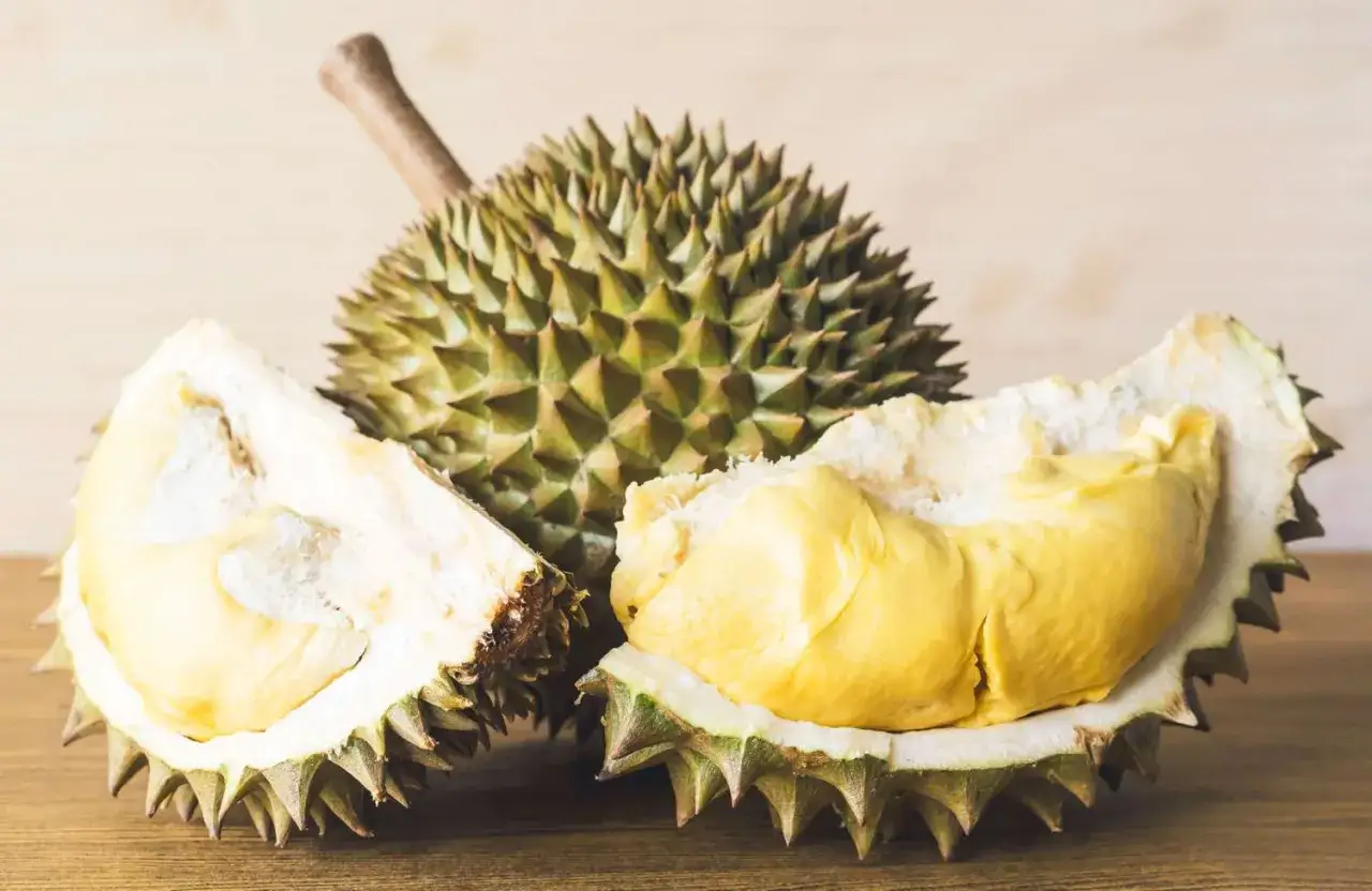 Durian jak smakuje? Owoc o kolczastej skórze i kremowym, żółtym miąższu, który budzi skrajne emocje.