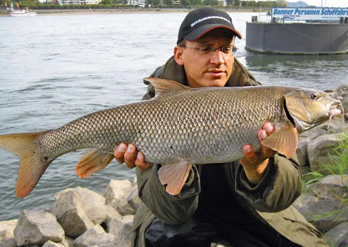 Ein Angler h&auml;lt stolz einen gro&szlig;en Fisch am Rhein, nahe der deutschen Grenze. Ein erfolgreicher Tag beim Angeln in Frankreich.