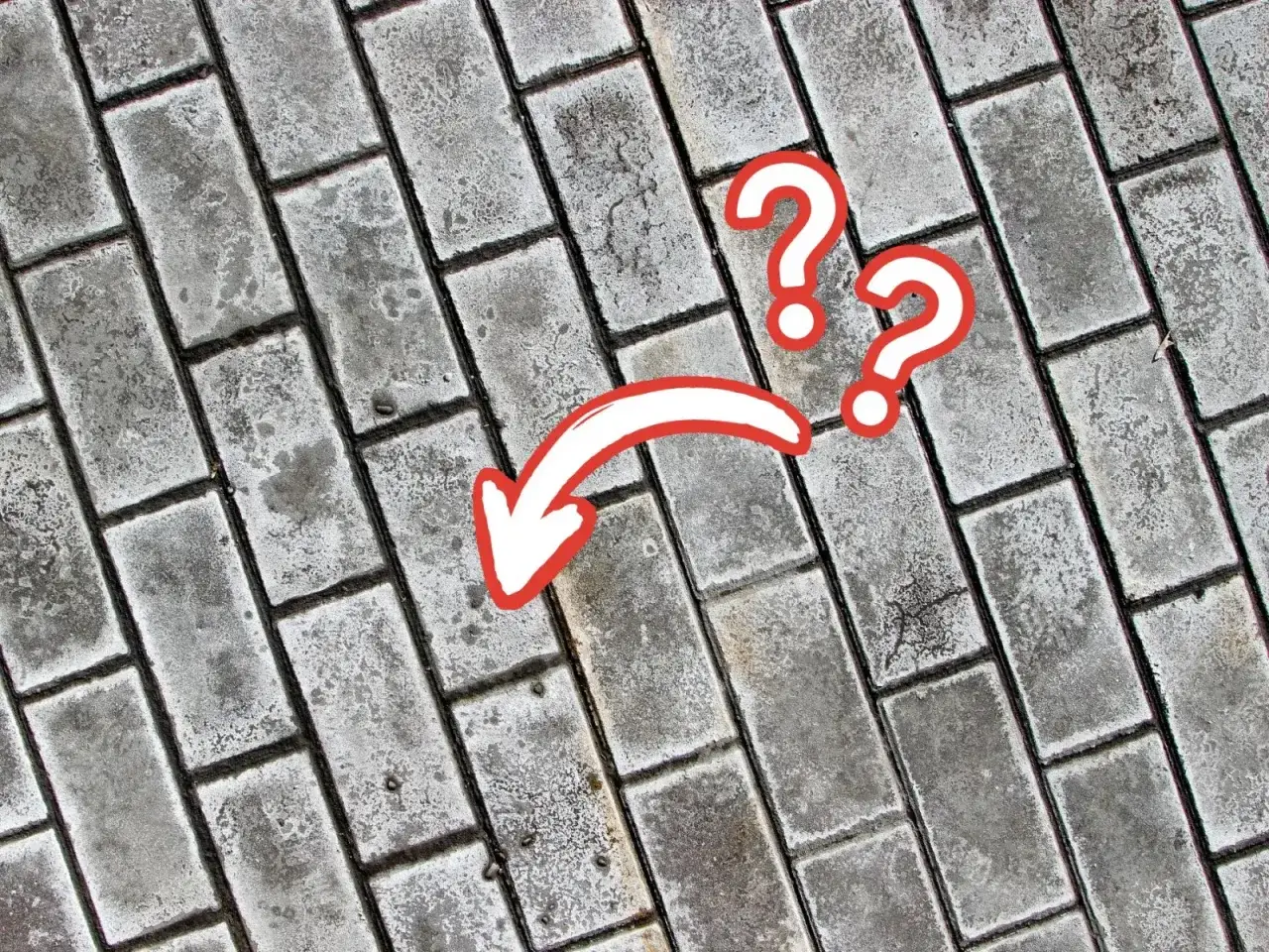 Szare wykwity na kostce brukowej, zaznaczone czerwoną strzałką i znakami zapytania.