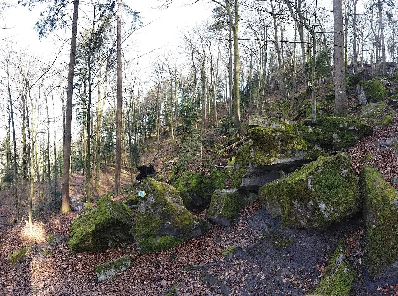 Moosbewachsene Felsen im Felsenmeer Murrhardt, umgeben von kahlen B&auml;umen und Laub. Ein Wegweiser weist den Weg durch das mystische Waldst&uuml;ck.