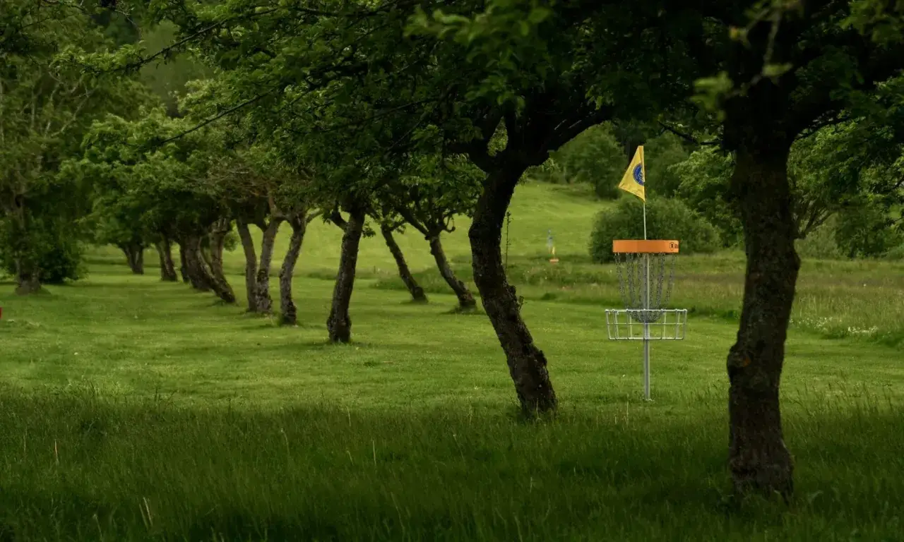 En discgolfkorg står i en äppelgård i Båstad, omgiven av gröna träd och gräs.