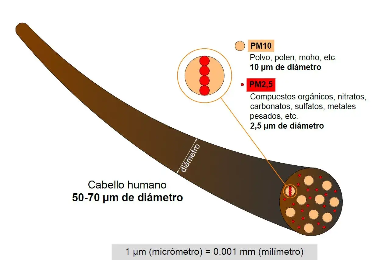 Comparaci&oacute;n de tama&ntilde;o: cabello humano (50-70 &micro;m) vs. part&iacute;culas PM10 (10 &micro;m) y PM2,5 (2,5 &micro;m).
