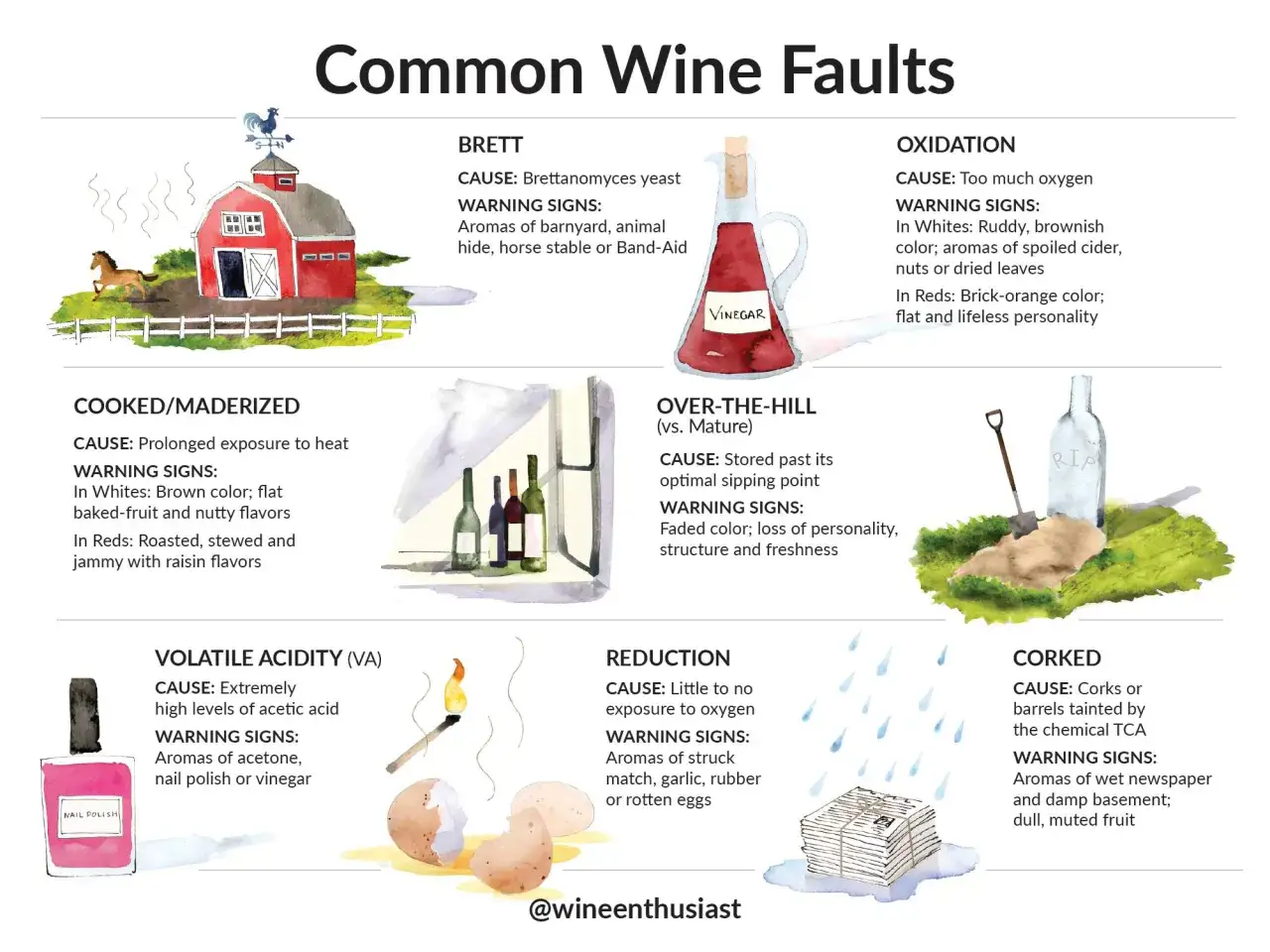 Illustration zeigt häufige Weinfehler wie Brett, Oxidation, gekochten Wein, überlagerten Wein, flüchtige Säure (riecht nach Nagellackentferner oder Essig) und Korken. Wer schlechten Wein getrunken hat, erkennt ihn an diesen Merkmalen.