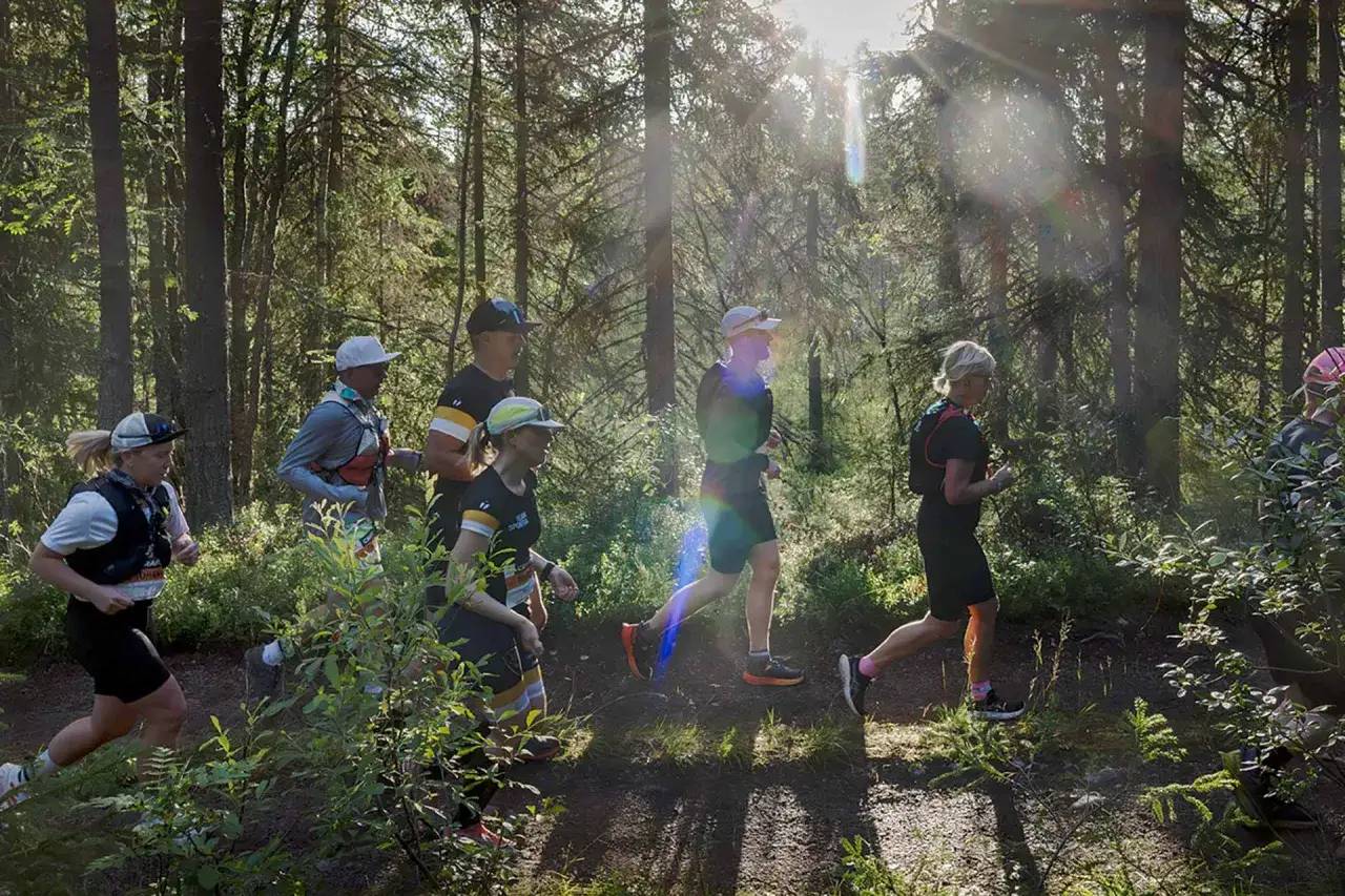 L&ouml;pare i skogen under Ultravasan 90. Solen strilar genom tr&auml;den och lyser upp stigen d&auml;r deltagarna springer.