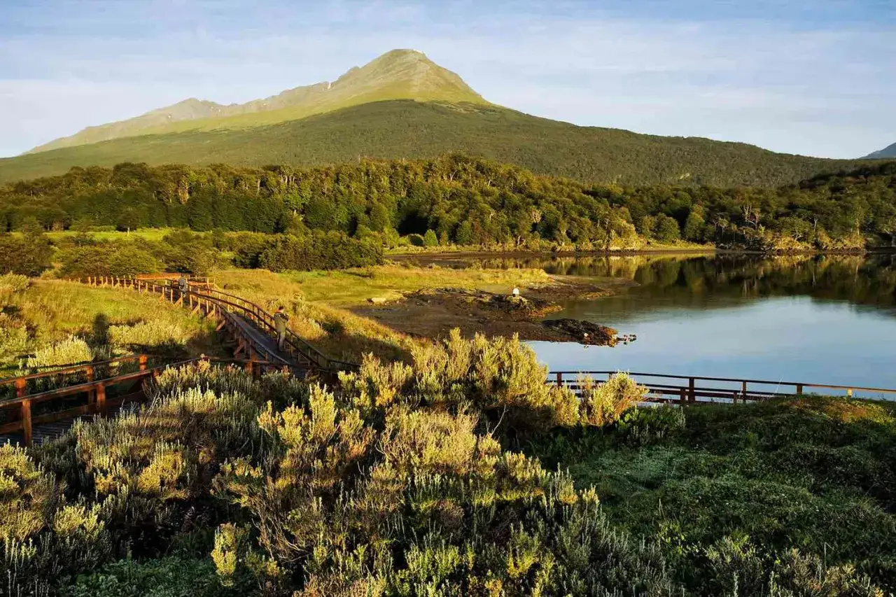 Drewniana kładka prowadzi przez bujną roślinność do spokojnej zatoki na **Tierra del Fuego**. W oddali wznosi się zielona góra.