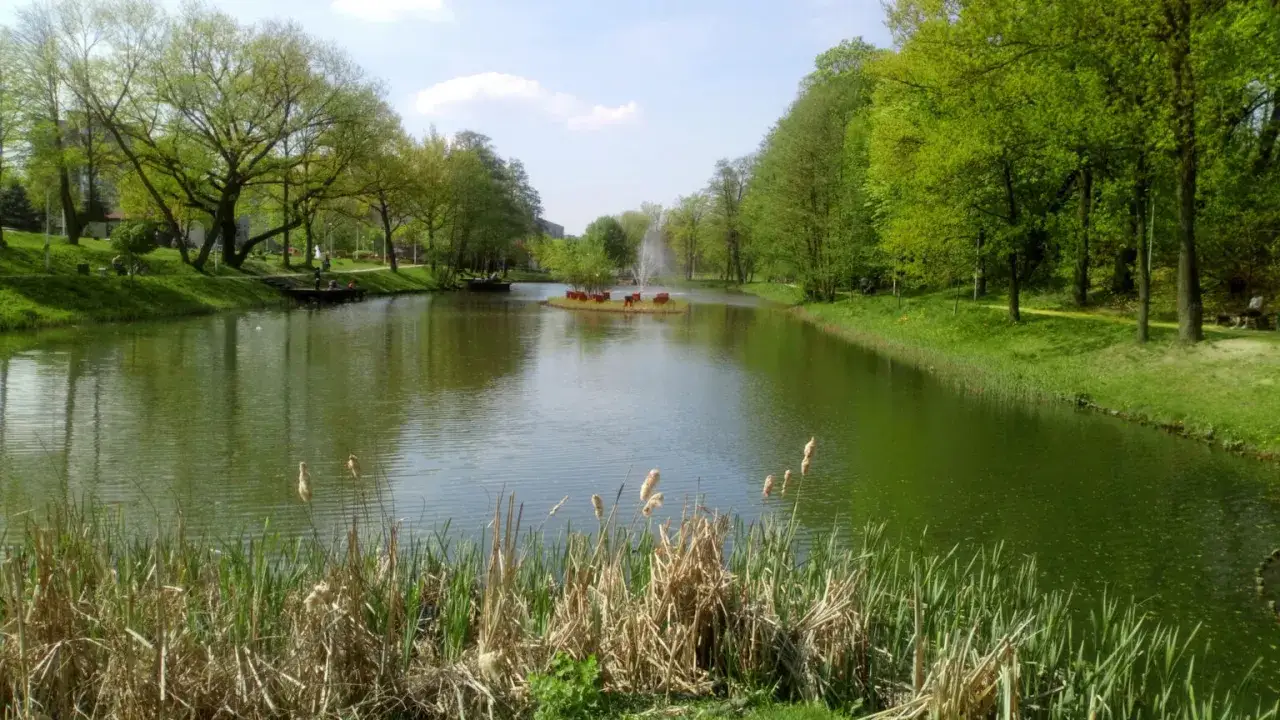 Malowniczy park w Zielonej Górze z jeziorem, wyspą z ławkami i fontanną.