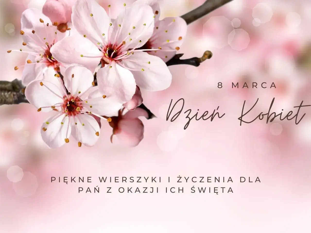 Delikatne różowe kwiaty wiśni na gałęzi, z napisem 