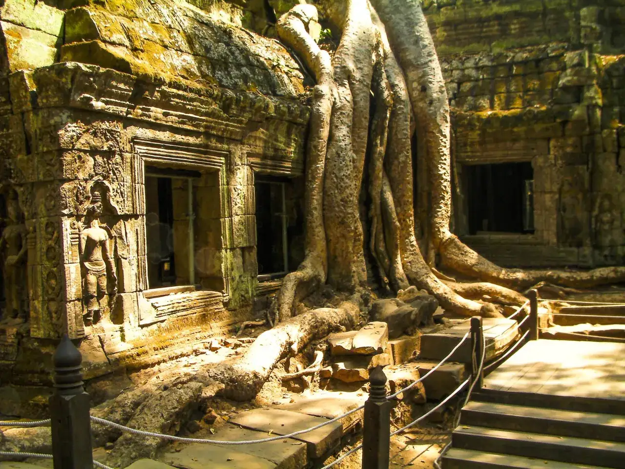 Kambodża co zobaczyć: potężne korzenie drzew oplatające starożytne ruiny świątyni Ta Prohm, tworząc niesamowity widok.