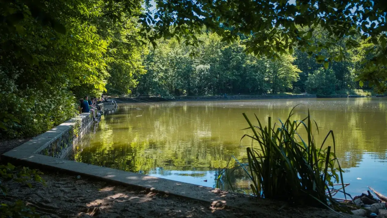 Des pêcheurs profitent d'une journée ensoleillée au bord de l'étang de Meudon, entouré d'arbres verdoyants.