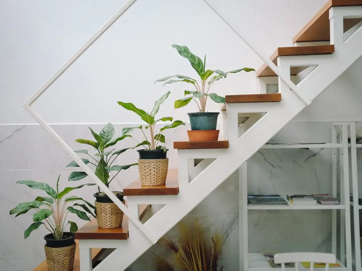 Plantas adornan los escalones de una escalera blanca, creando un ambiente acogedor para decorar rellano escalera comunidad.